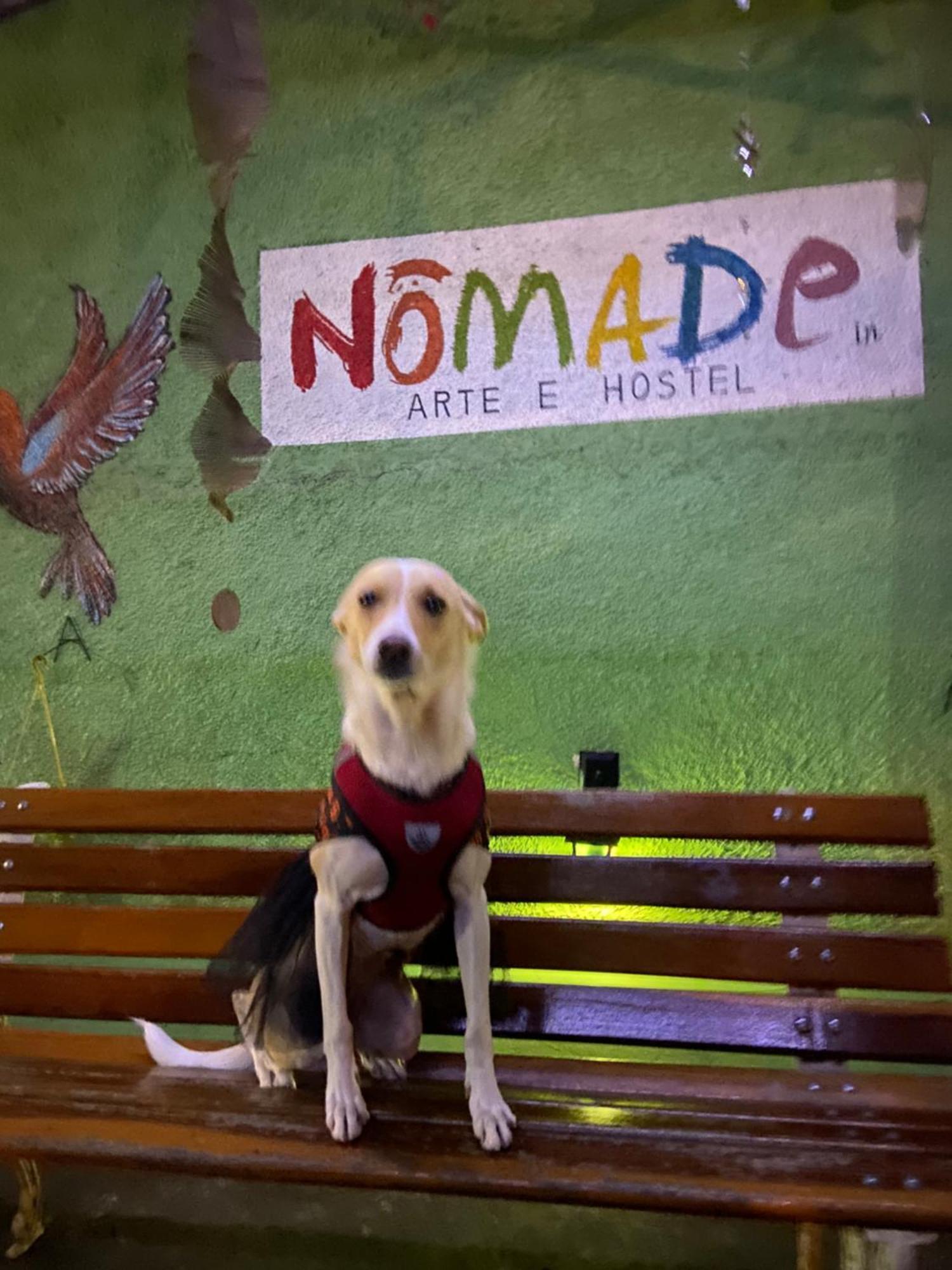 Nomade In Arte E Hostel Sao Paulo Exterior photo